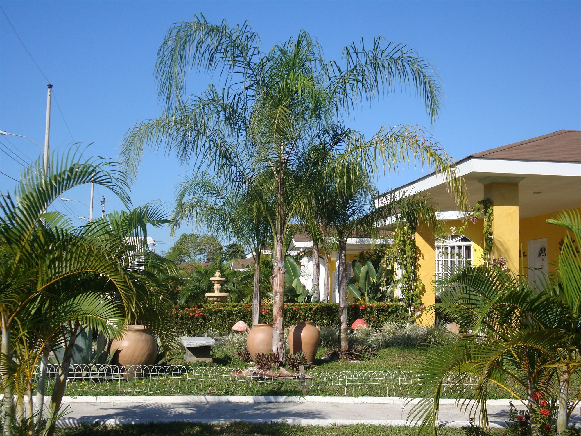 Hotel Palma Real Sambo Creek Экстерьер фото